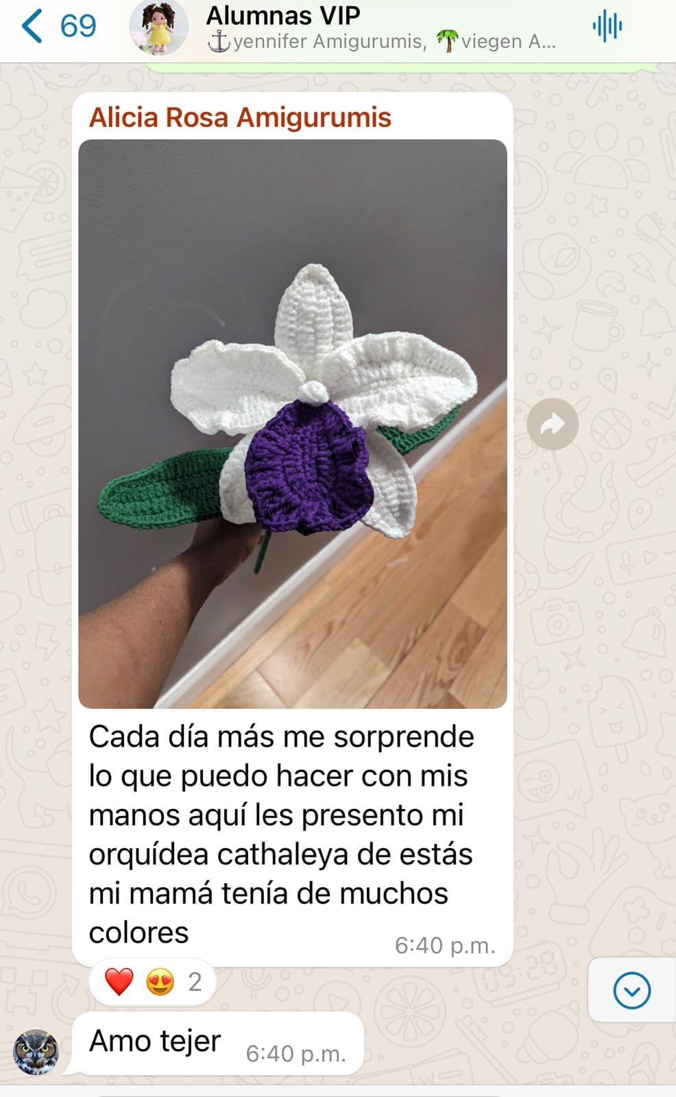 Opinión de Estudiante